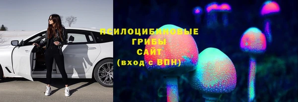 сатива Дмитровск