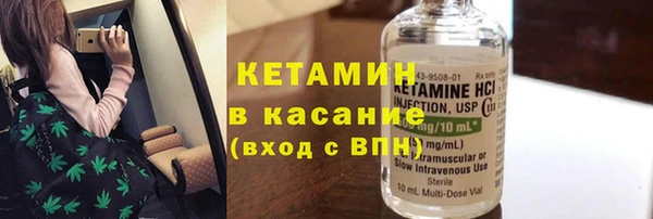 сатива Дмитровск