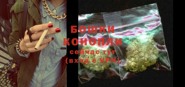 сатива Дмитровск