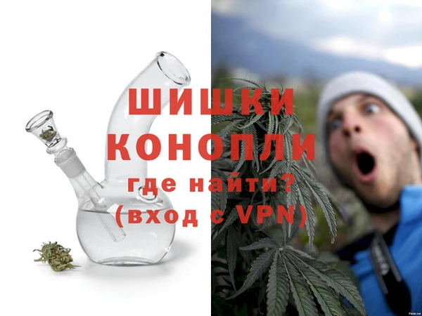 сатива Дмитровск