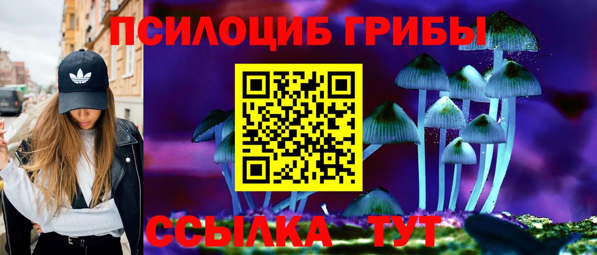 Псилоцибиновые грибы Magic Shrooms Вольск