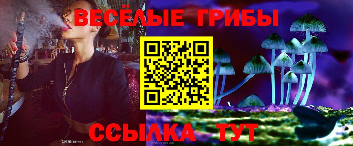 что такое   Галлюциногенные грибы Psilocybe  Вход с VPN  Вольск  Псилоцибиновые грибы Cubensis 